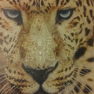 Meet your Posher, Jewell's